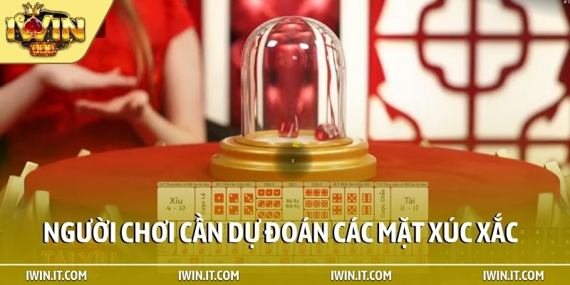 Người chơi cần dự đoán các mặt xúc xắc